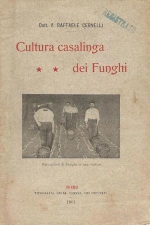 Cultura casalinga dei funghi.