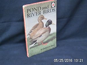 Pond and River Birds