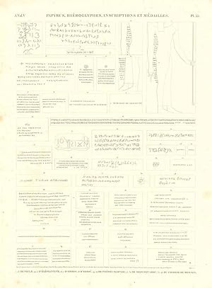 Bild des Verk�ufers f�r Papyrus, hi�rogliphes, inscriptions et m�dailles - De Phile - D'Elephantine - D'Ombos - D'Edfou - De Th�bes (Karnak) - De Medynet Abou . Du Colosse de Memnon zum Verkauf von Sergio Trippini