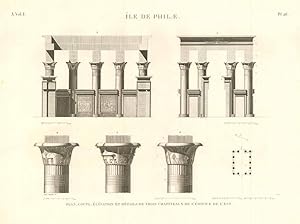 Bild des Verk�ufers f�r Ile de Philae - Plan, coupe �levation et details de trois chapiteaux de l'�difice de l'est zum Verkauf von Sergio Trippini
