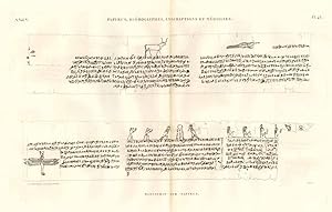 Bild des Verk�ufers f�r Papyrus, hi�rogliphes, inscriptions et m�dailles - Manuscrit sur papyrus zum Verkauf von Sergio Trippini