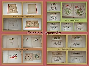 ENFANTINA - Coloris & Aquarelle. Nouveaux Modèles de Coloris pouvant être exécutés avec des Crayo...