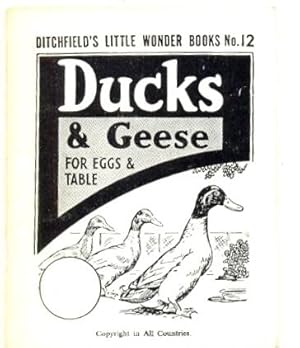 Ducks & Geese for Eggs and Table. Ditchfield's Little Wonder Books No. 12