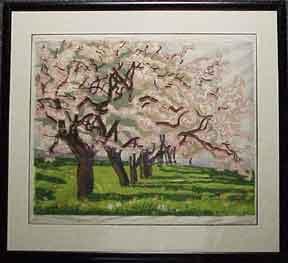 Bild des Verkufers fr Cherry trees in bloom in a field. zum Verkauf von Wittenborn Art Books