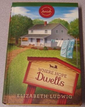 Where Hope Dwells (Sugarcreek Amish Mysteries #2)