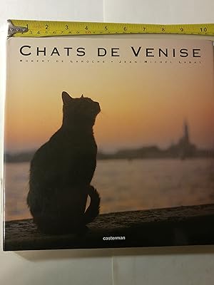 Chats de Venise (French Edition)