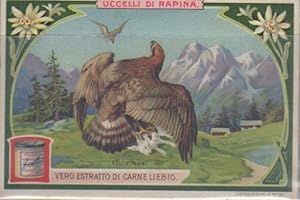 Immagine del venditore per Uccelli di rapina. venduto da Studio Bibliografico Adige