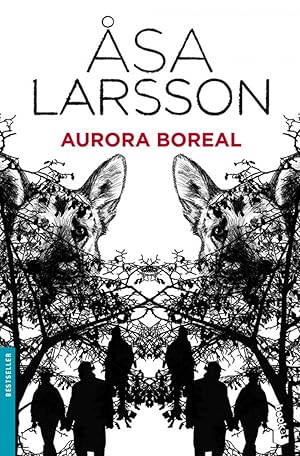 Seller image for Aurora boreal for sale by Imosver