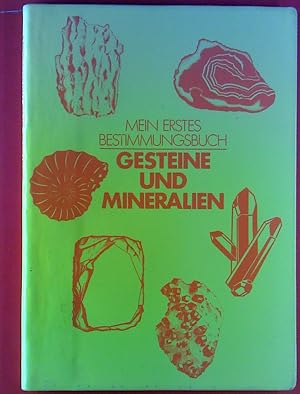 Immagine del venditore per Gesteine und Mineralien. Mein erstes Bestimmungsbuch venduto da biblion2