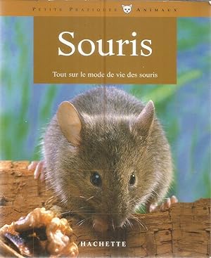 Souris - Tout sur le mode de vie des souris