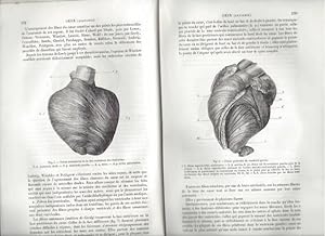 Dictionnaire Encyclopédique des Sciences Médicales (avec figures dans le texte) - 1ère série / To...