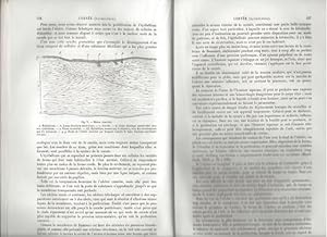 Dictionnaire Encyclopédique des Sciences Médicales (avec figures dans le texte) - 1ère série / To...