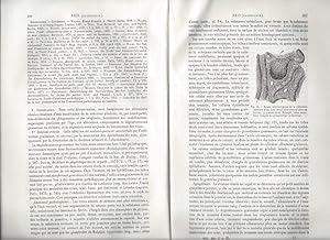 Dictionnaire Encyclopédique des Sciences Médicales (avec figures dans le texte) - 3ème série / To...