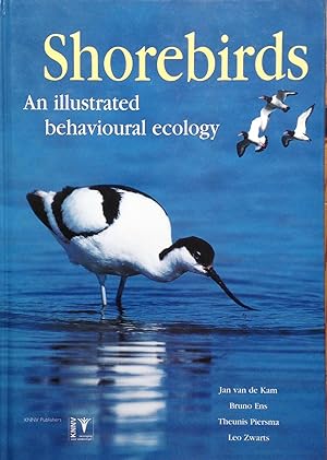 Shorebirds; an illustrated behavioural ecology.