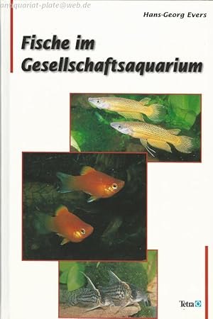 Fische im Gesellschaftsaquarium.