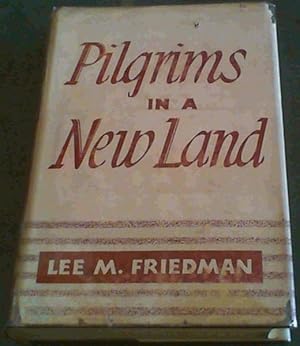 Bild des Verkufers fr Pilgrims in a New Land zum Verkauf von Chapter 1