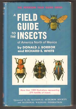 Bild des Verkufers fr A Field Guide to the Insects America North of Mexico. zum Verkauf von Antiquariat Neue Kritik