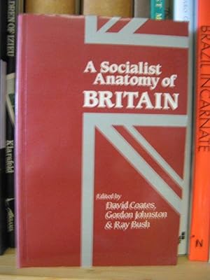 Bild des Verkufers fr A Socialist Anatomy of Britain zum Verkauf von PsychoBabel & Skoob Books