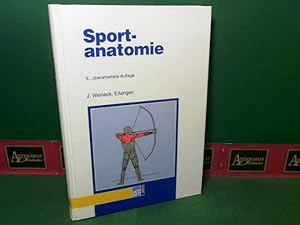 Sportanatomie.