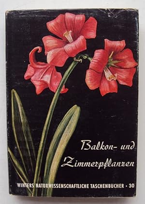 Image du vendeur pour Balkon- und Zimmerpflanzen. Mit 114 meist farb. Tafelabb. mis en vente par Der Buchfreund