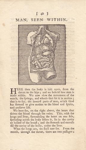 Man seen within, Anatomie, Eingeweide, Organe, Torso, kleinformatiger Kupferstich um 1790 darunte...