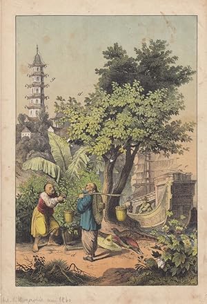 Chinka, Dschunke, Pagode, Urwald, altkolorierter Lithogaphie um 1860 mit Blick auf eine Händlersz...