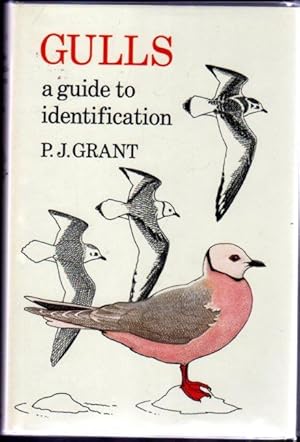 Gulls : A Guide to Identification