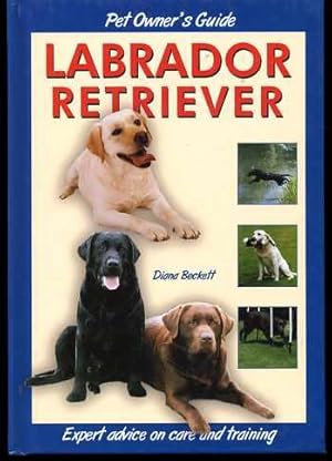 Pet Owner's Guide to the Labrador Retriever