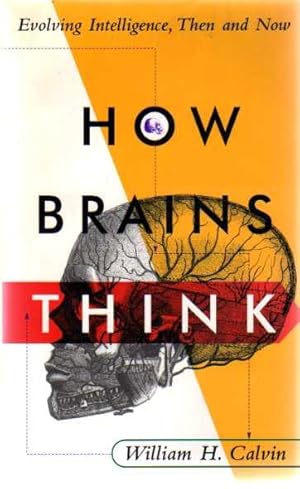 How Brains Think : Evolving Intelligences, Then and Now