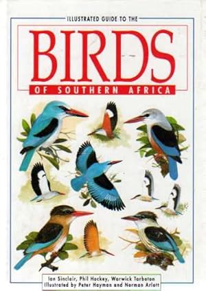 Illustrated Guide to the Birds of Southern Africa