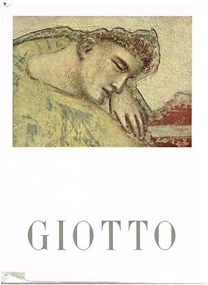 Bild des Verkufers fr Giotto. zum Verkauf von Antiquariat Bernd Preler