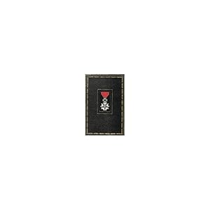 Seller image for La legion d'honneur for sale by SARL Pages et brocante