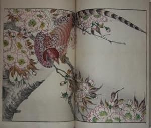 Japanese Album of Woodblocks Mostly of Abstract Designs, with Some Stylized Zoological and Human ...