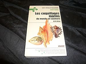 Les Coquillages Marins Du Monde En Couleurs