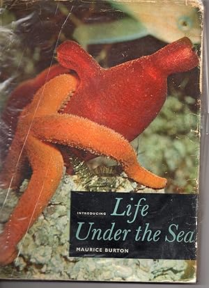 Introducing Life under the Sea