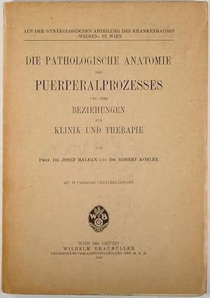 Bild des Verkufers fr Die pathologische Anatomie des Puerperalprozesses und ihre Beziehung zur Klinik und Therapie. zum Verkauf von Antiq. F.-D. Shn - Medicusbooks.Com