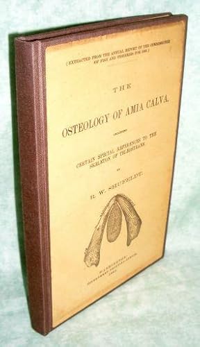 Osteology of Amia Calva including certain special references to the skeleton of Teleosteans.