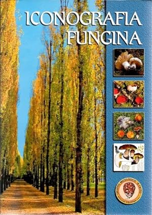 Iconografia fungina