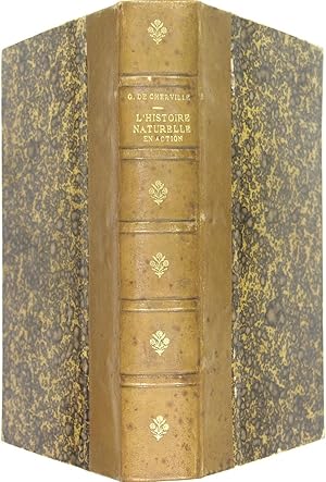 Seller image for L'histoire naturelle en action - Esquisses de la vie des btes for sale by Philippe Lucas Livres Anciens