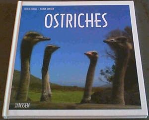Seller image for Ostriches for sale by Chapter 1