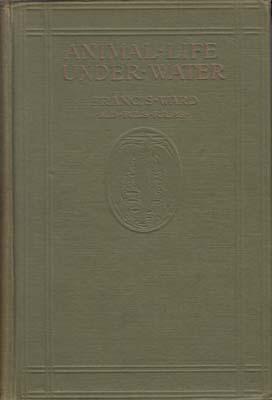 Bild des Verkufers fr Animal Life Under Water. zum Verkauf von Berkelouw Rare Books