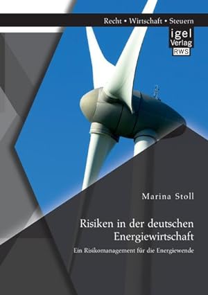 Seller image for Risiken in der deutschen Energiewirtschaft. Ein Risikomanagement fr die Energiewende for sale by AHA-BUCH GmbH