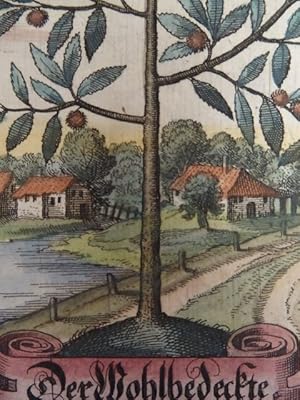 Der Wohlbedeckte. Nr. 81. Kolorierter Kupferstich von M. Merian aus der 'Fruchtbringenden Gesells...