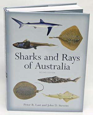 Bild des Verkufers fr Sharks and rays of Australia. zum Verkauf von Andrew Isles Natural History Books
