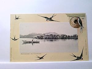 AK Herreninsel im Chiemsee, Panorama, Schwalben, Reliefkarte.