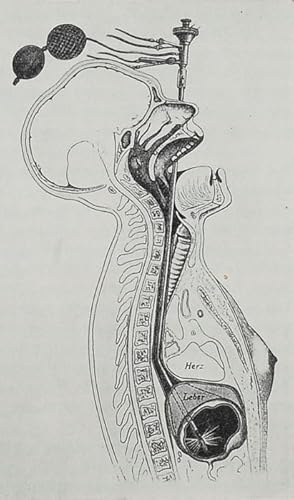 Zur Licht- und Instrumententecknik in der Gastroskopie (pp.157-174, 15 Abb.).