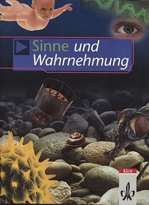 Seller image for Sinne und Wahrnehmung for sale by Flgel & Sohn GmbH