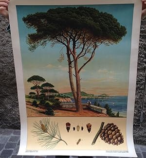 Seller image for DA CANOVA A MODIGLIANI IL VOLTO DELL'OTTOCENTO for sale by AL VECCHIO LIBRO