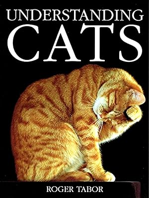Understanding Cats :