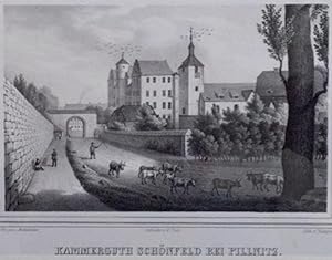 Kammergut Schönfeld bei Pillnitz. Lithographie aus Sachsens Kirchengalerie ( Kirchengallerie ) um...